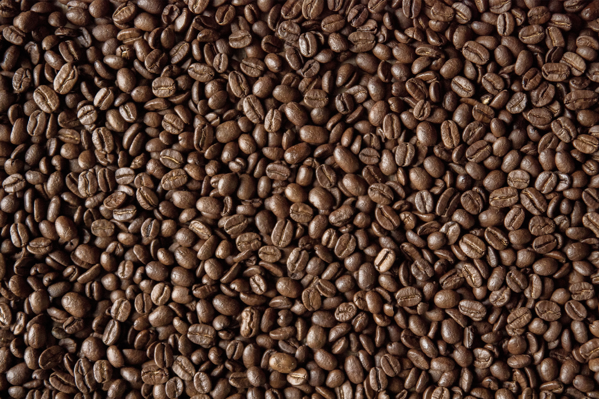 Fondo formado por granos de café