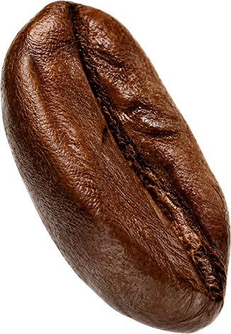 Grano de café