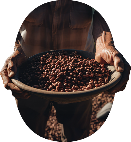 Persona sosteniendo una bandeja con granos de café